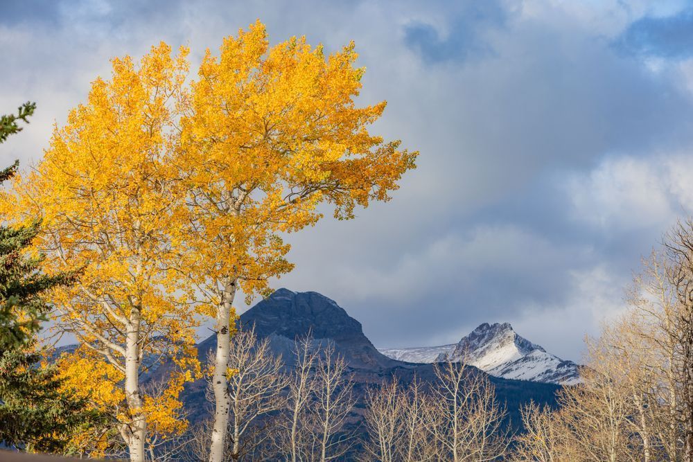 Glacier24015 Photography Art | Judd Sather Photography