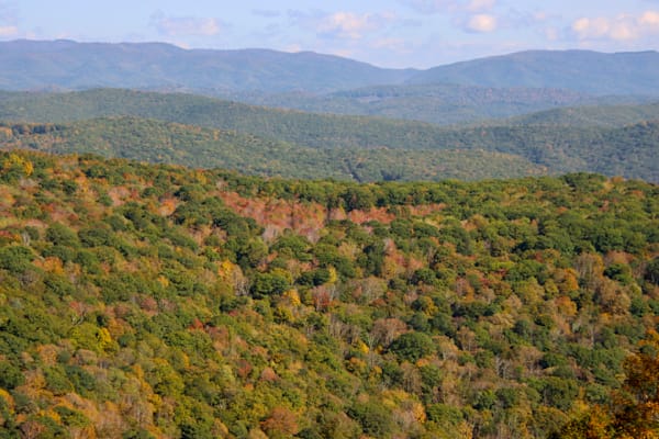 WV Fall Landscape 3
