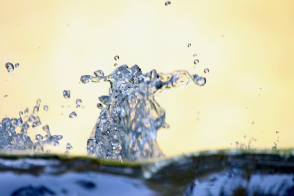 Water Droplets-1