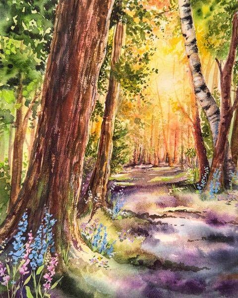 Into The Woods