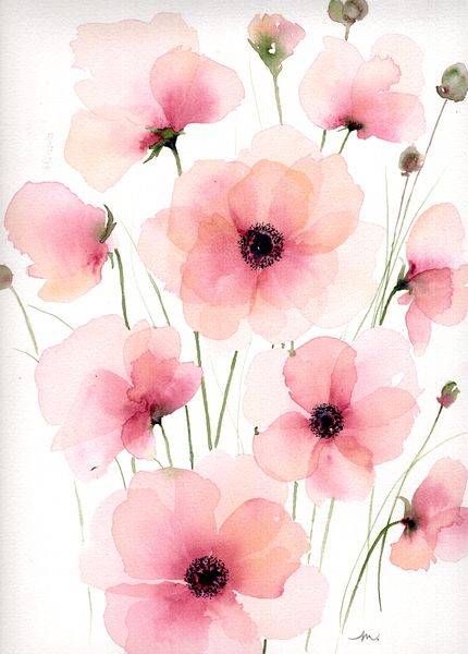 Petals In Bloom