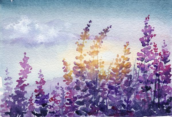 Florals