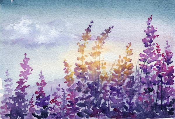Florals