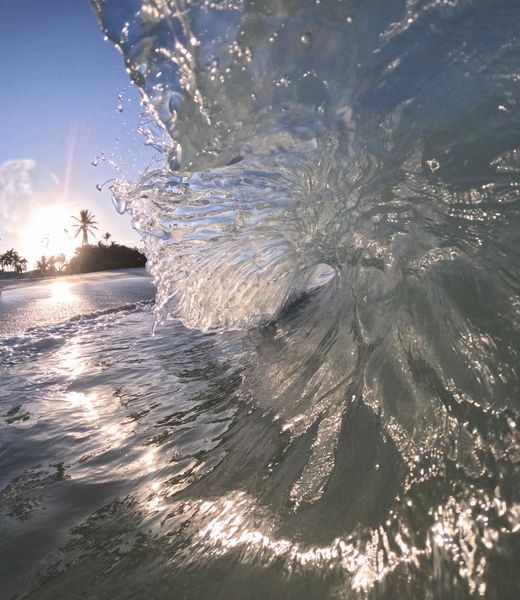 Fine Art Prints