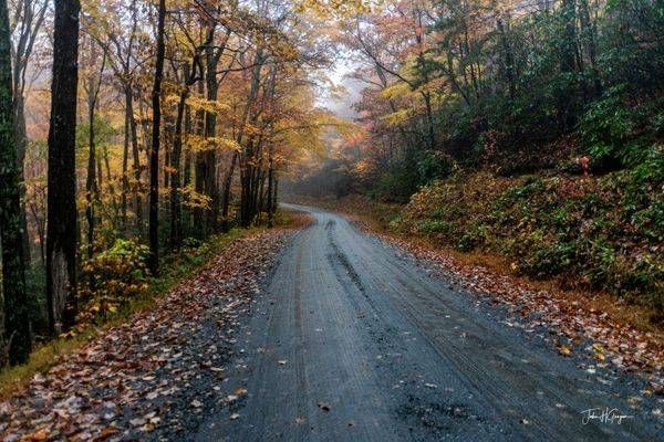 Edgemont Road Photography Art | John Grogan, Photography