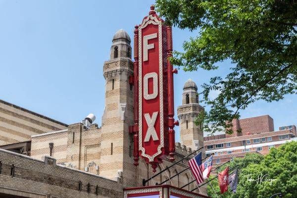 The Fox Photography Art | John Grogan, Photography