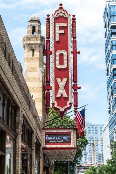 Fox Photography Art | John Grogan, Photography