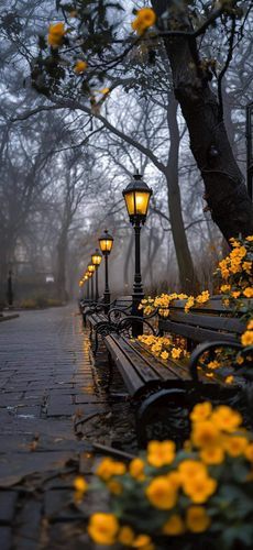 Mdawmdawmdawmdaw7qgraepd6cacehr zcfbfywxu2fyveayeunrgwctqqqltnerwweter6yomfiojy24adow ljj7f22f2vd2s3k0fn 38ezqodftc2xeuhdjufahdziomokxodj3hs jg da6ji5eudq olwagpj5emn5evkk7q touqryp0mpvzsatni0lpfm64kshbaxregyyor8n61ihxa76rhrc e2ijjvmfuwcbyysgcv bqvjy5oqct1uz6ekb88fo8laki518 cw8puwwhhoszvwp  sxhlp 0s7xv5dnix2n3dm at9sptmqam6b7v3q