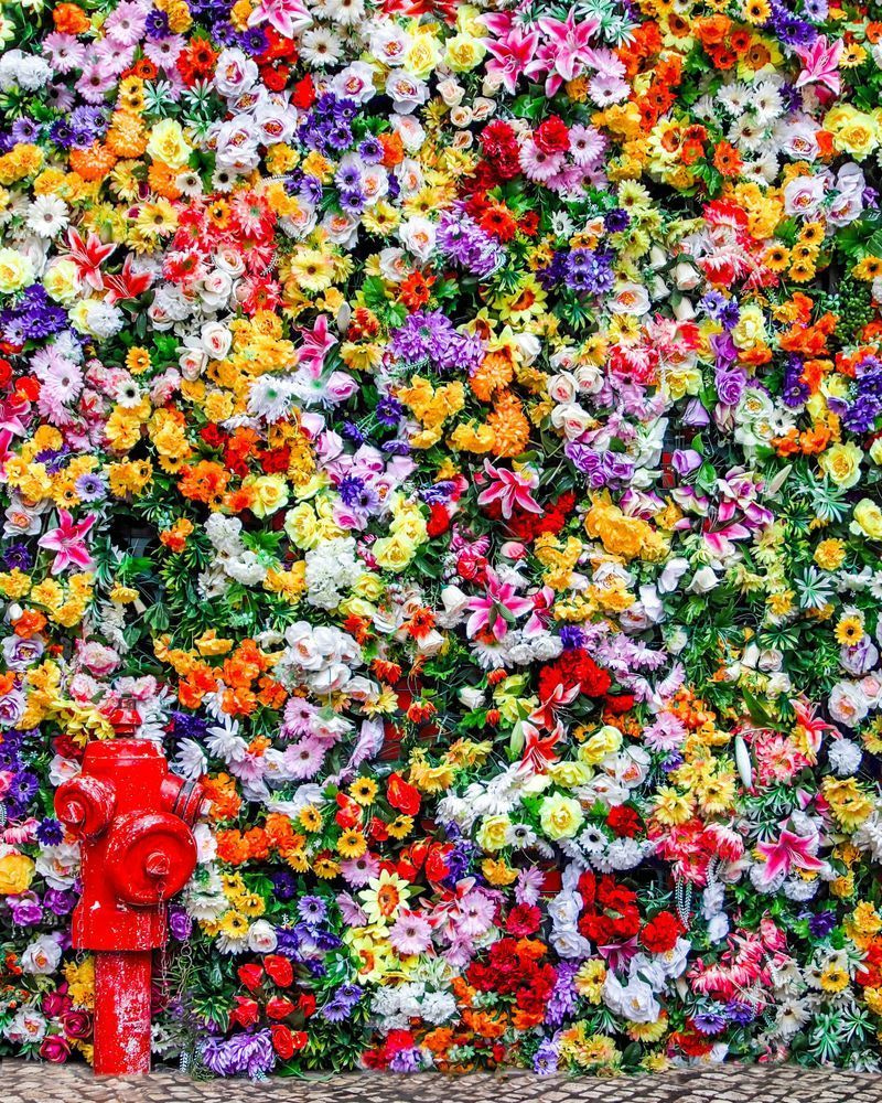 Colorful Flower Wall Art for Dog Lovers