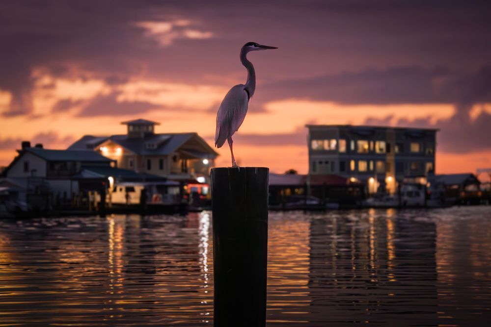 A Tranquil Morning with the Egret in Southport – Nautical Wall Art & Coastal Home Décor