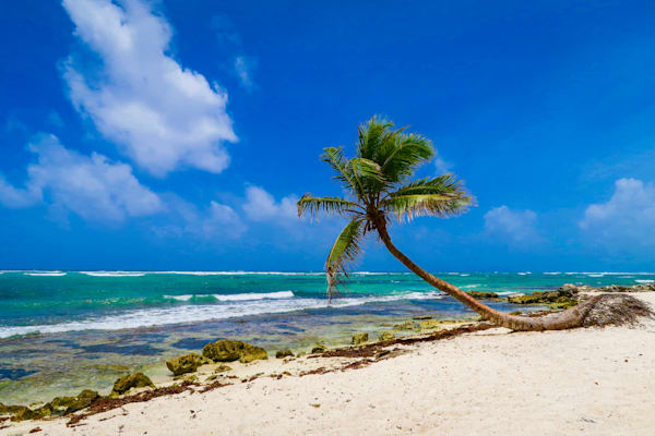 Landscape Photography 