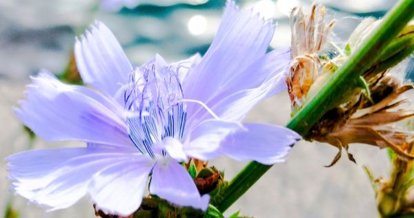 M(EYE) Waters, Trees, Flowers... 