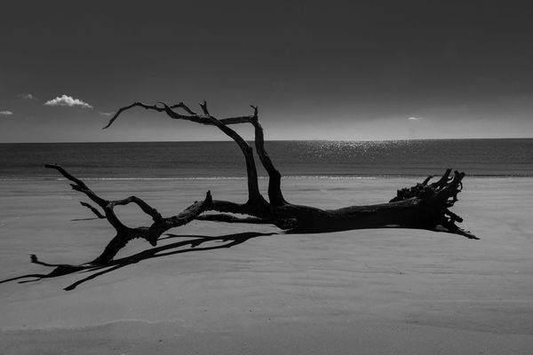 What Remains | Jekyll Island B&W Art | Bama Price Photography