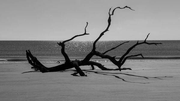 The Reach | Jekyll Island B&W Art | Bama Price Photography