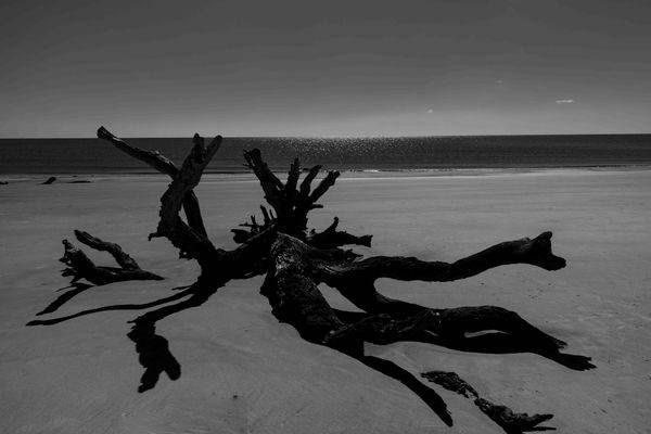 The Crowned Shore | Jekyll Island B&W Art | Bama Price Photography