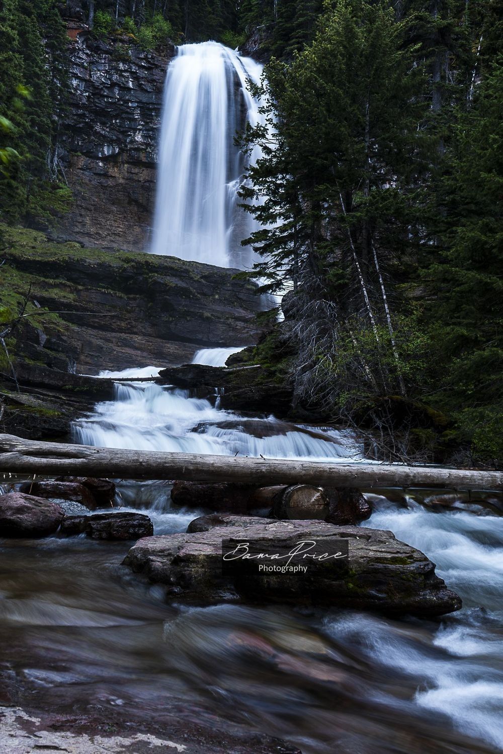 Virginia Falls cascading down the mountainside through multiple tiers in Glacier National Park, Montana.
