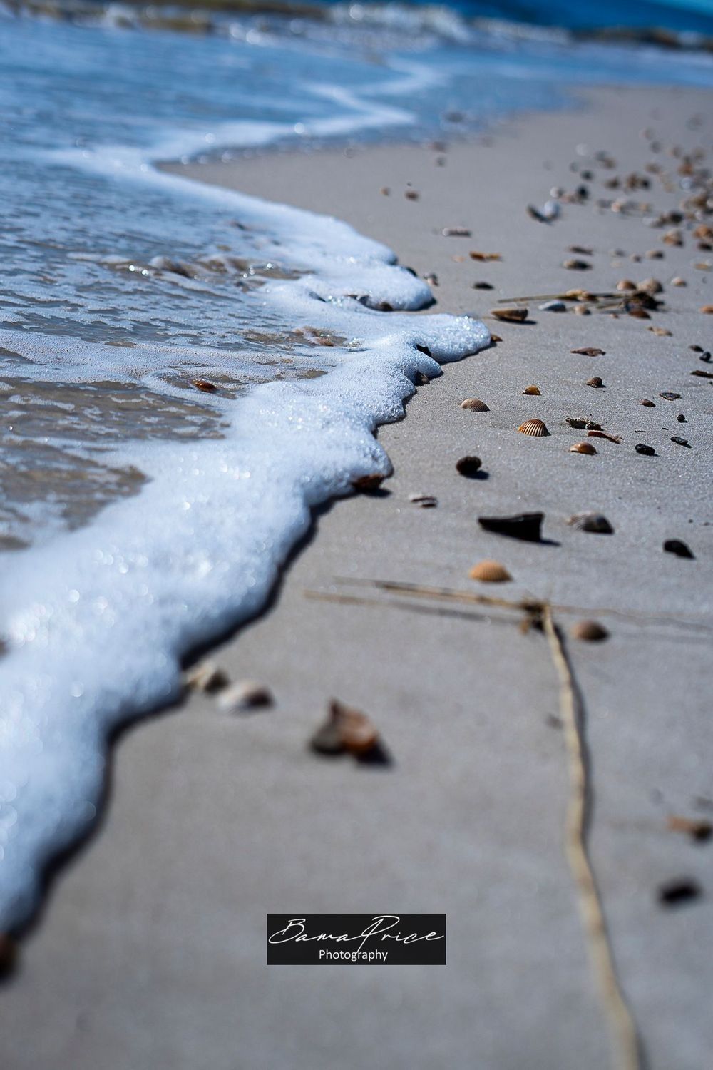 “Foam’s Gentle Kiss”: A vertical fine art photograph taken at ground level on Dauphin Island, Alabama, on New Year’s morning 2025. A curling edge of white sea foam rolls across pale gray sand toward the camera, with scattered small seashells and pebbles covering the dry sand in the foreground. The shallow depth of field keeps the foam line sharp while the background water and sky gently blur. A Bama Price Photography watermark appears at the bottom center of the image.