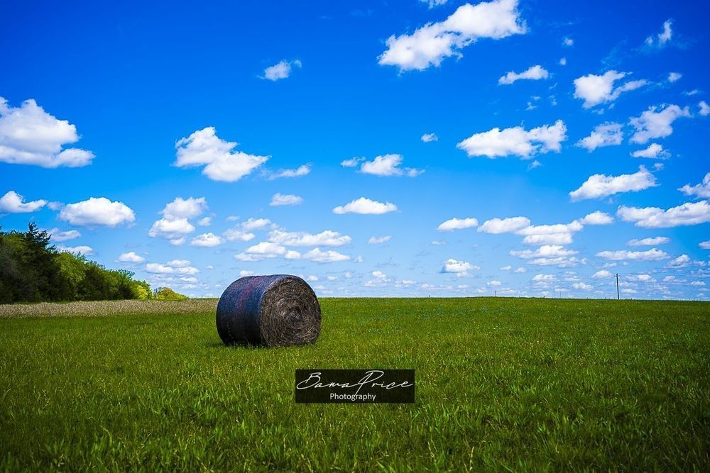 A vibrant, wide-angle landscape photograph taken from ground level in a rural pasture near Epes, Alabama. A single dark round hay bale sits on a lush green field under a brilliant, clear blue midday sky filled with scattered white cumulus clouds. A treeline borders the field on the far left.