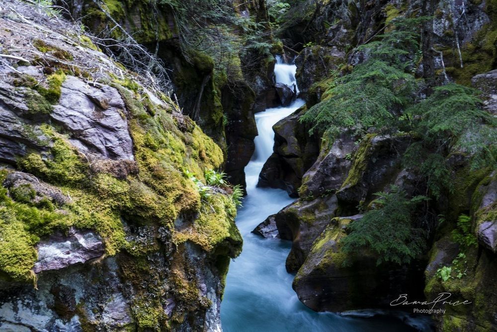 Turquoise water rushing through moss-covered rocks and forest along Avalanche Creek in Glacier National Park, Montana.