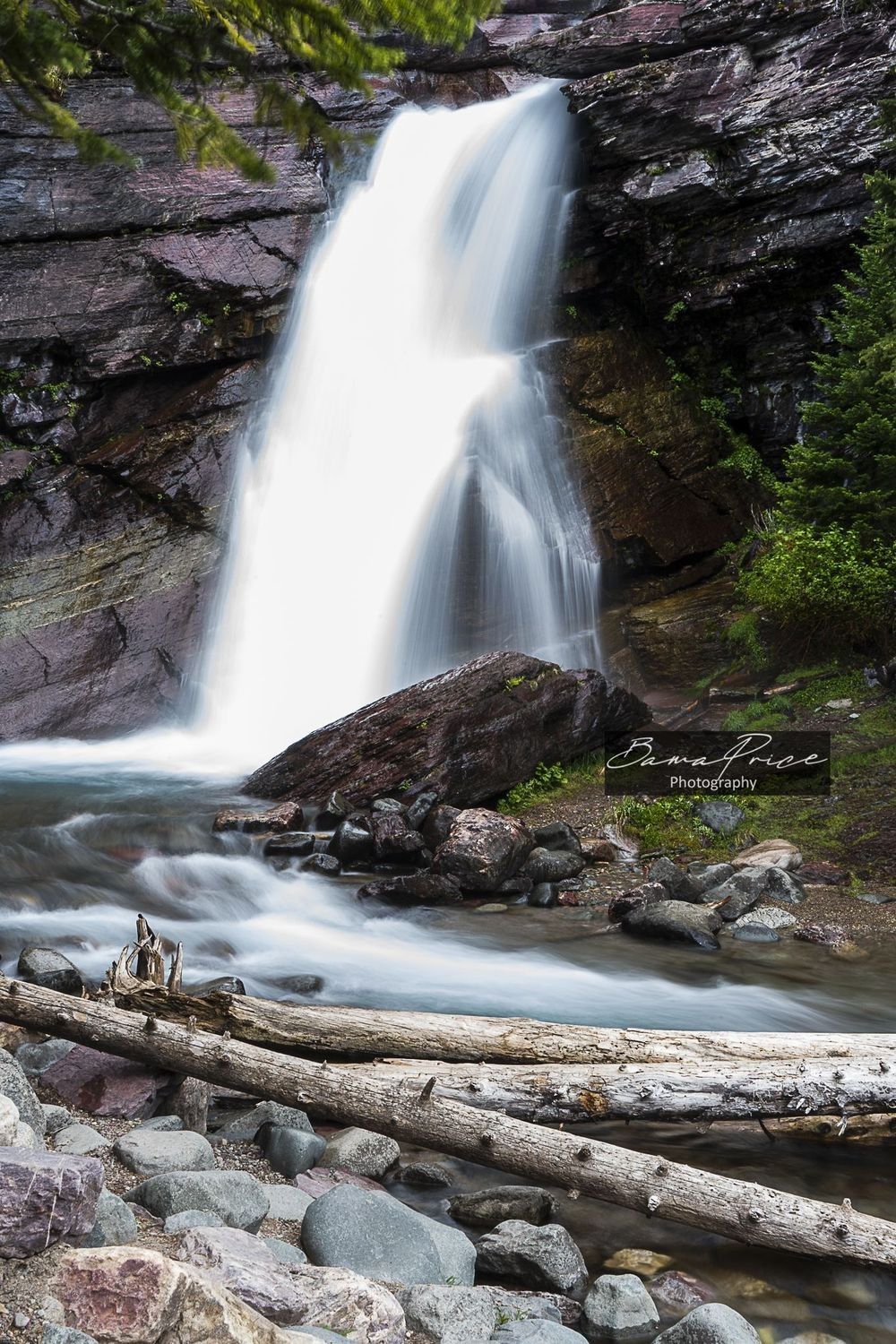 Baring Falls cascading through the forest over rocks and a fallen tree in Glacier National Park, Montana.