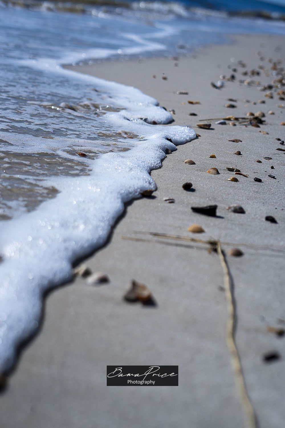 Sea foam gently washing over colorful seashells on the sandy beach at Dauphin Island, Alabama during a peaceful winter morning.
