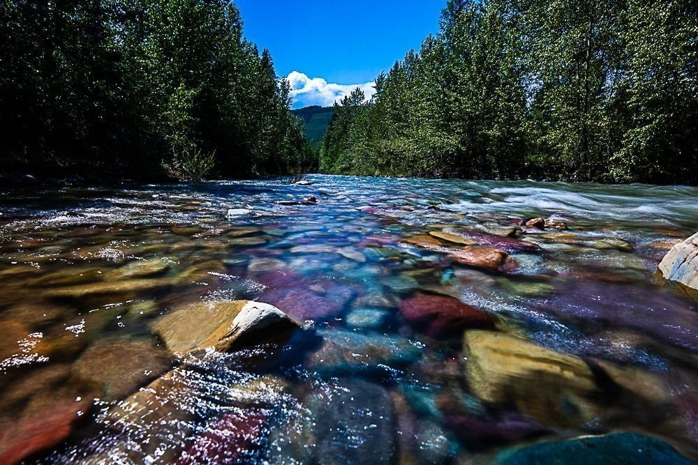 A low-angle, wide-path view of a clear Montana mountain stream (Big Creek). In the foreground, vibrant red, purple, and gold stones are visible beneath the crystal-clear water. To the right, the water flows with a soft, silky motion blur. The stream is flanked by lush green evergreen trees under a bright blue sky with a few soft white clouds.