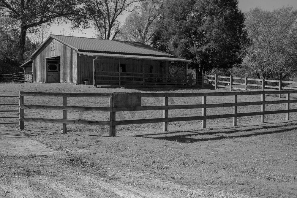 Horse Ranch Barn Photography Art | Bama Price Photography