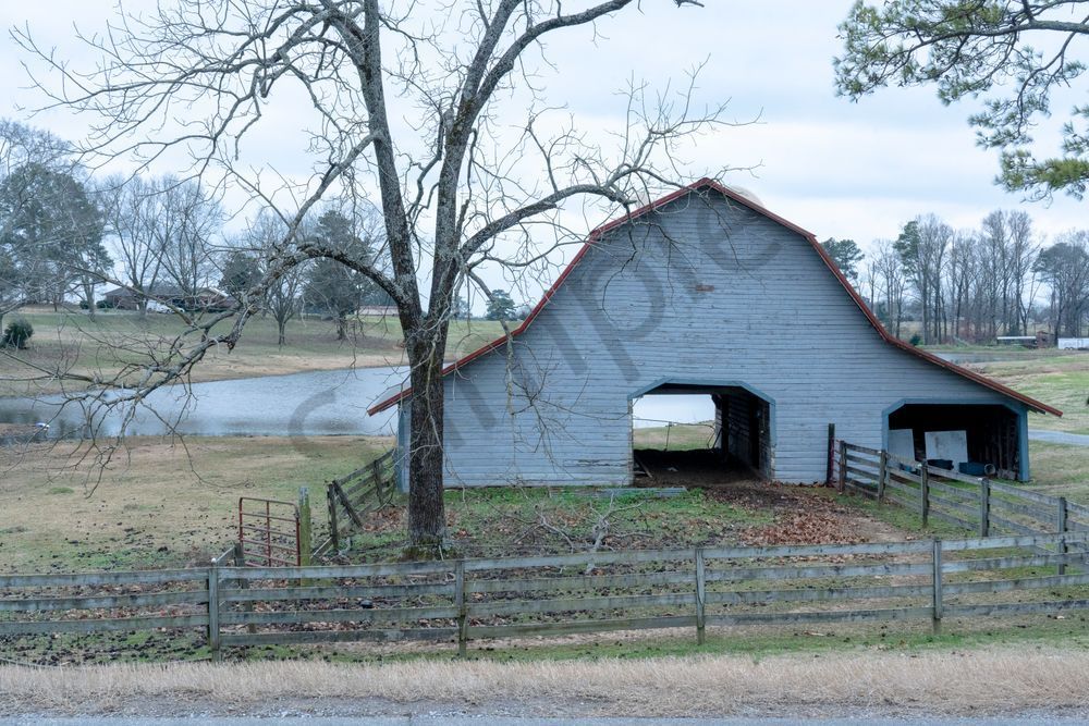 Grey Day Harmony Photography Art | Bama Price Photography