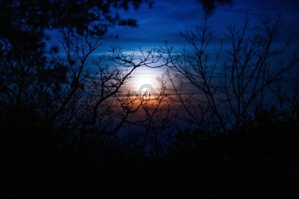 Blue Sunset Silhouette | Cheaha State Park Alabama Fine Art Print | Bama Price