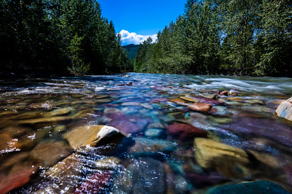 Montana Mountain Stream Big Creek | Flathead National Forest Print | Bama Price