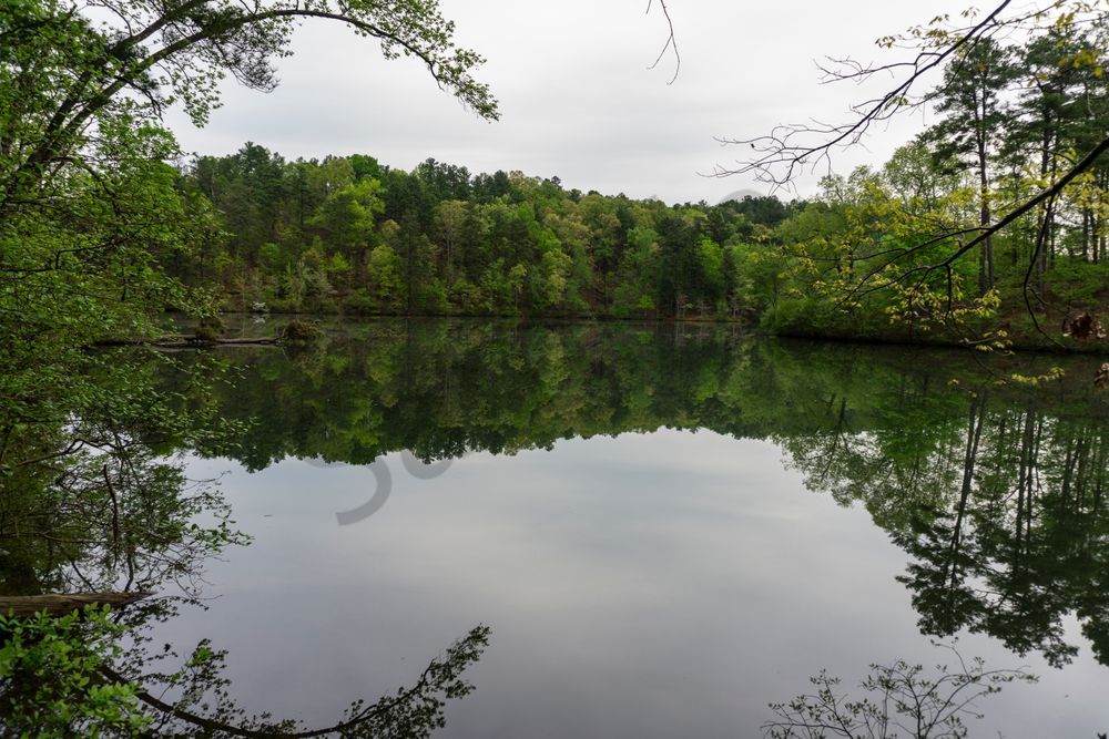 Mirror of the Forest | Oak Mountain State Park Alabama Photography Print | Bama Price