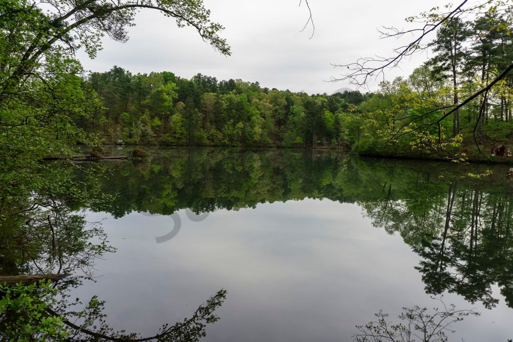 Mirror of the Forest | Oak Mountain State Park Alabama Photography Print | Bama Price