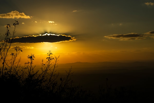 Golden Veil at Dusk | Cheaha State Park Alabama Sunset Print | Bama Price