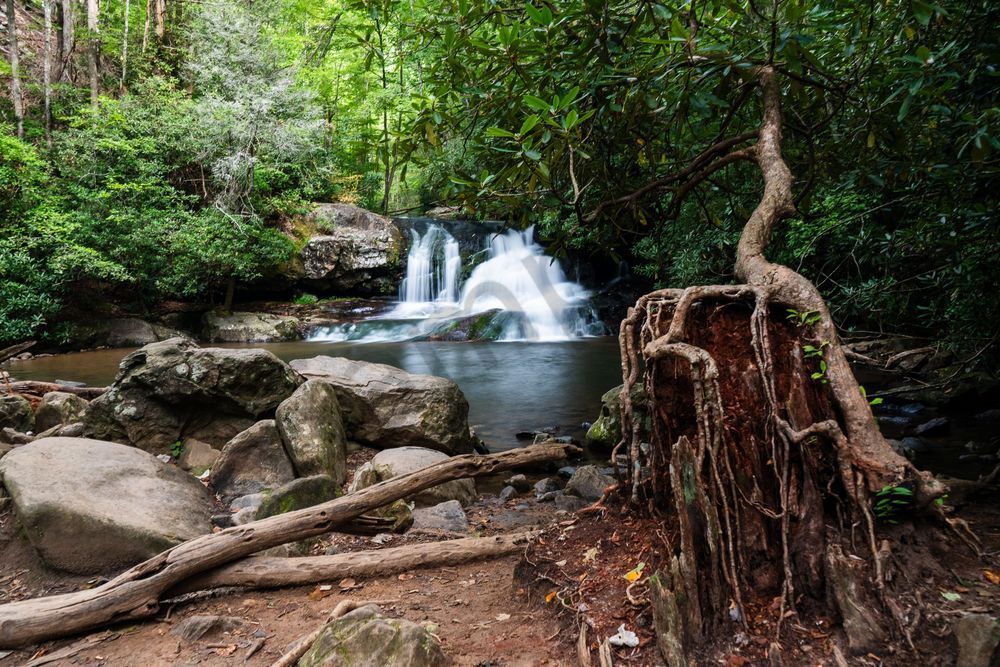 Entwined at Hemlock Falls: Georgia Waterfall Art Print | Bama Price