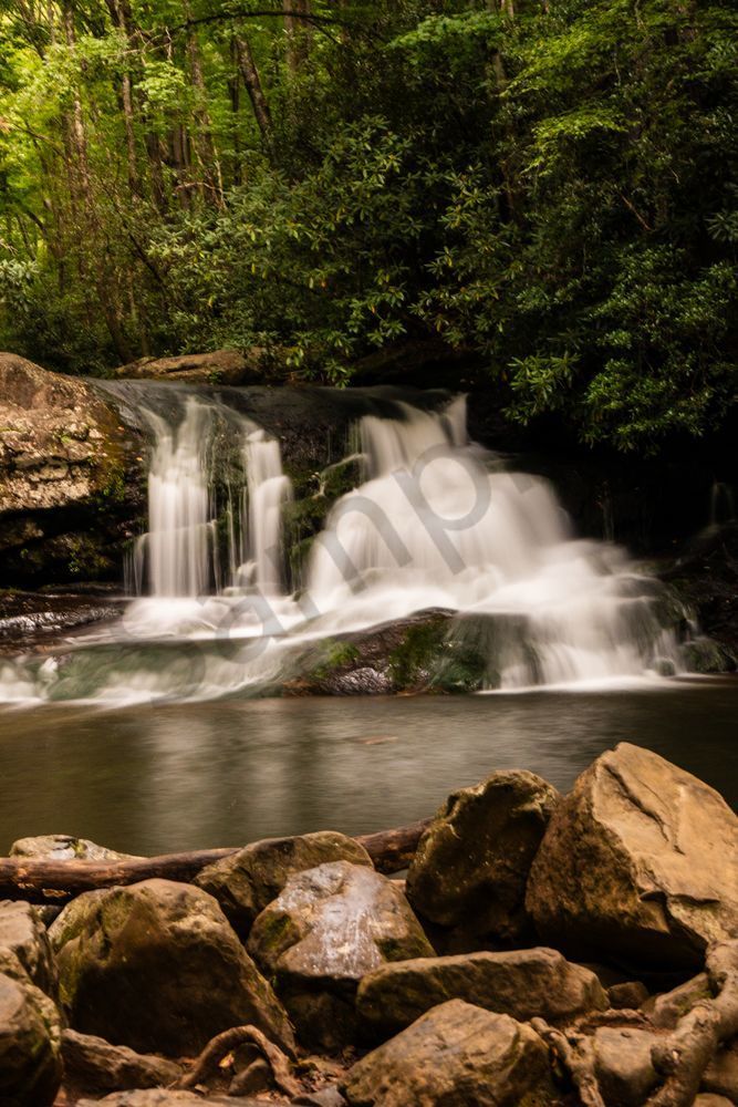 Hemlock Falls Grotto - Vertical Waterfall Print, Georgia | Bama Price