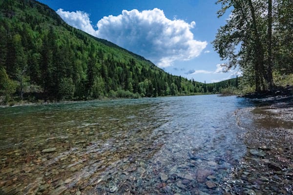Northern Flathead Clarity - Pristine River Landscape Print | Bamaprice.com