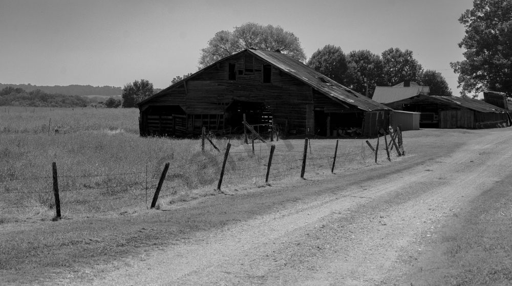 Old Barn In Grove Oak Al Photography Art | Bama Price Photography