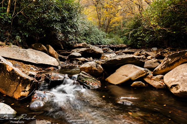 Little Pigeon's Wild Flow | Smoky Mountains Stream Fine Art Print | Bama Price