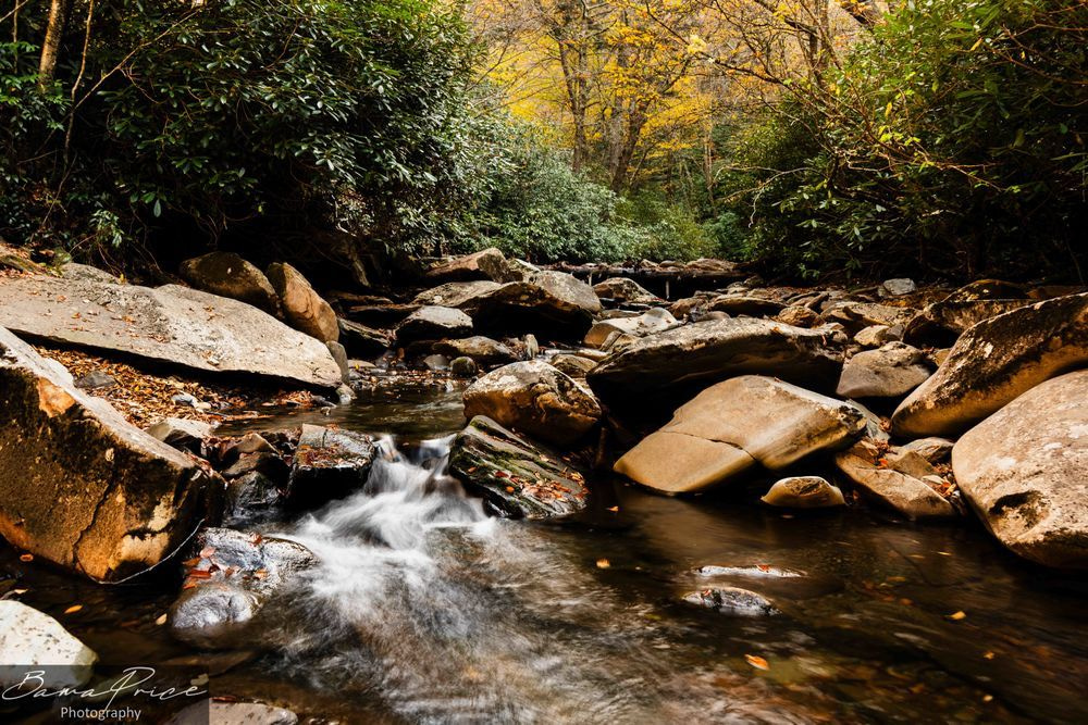 Little Pigeon's Wild Flow | Smoky Mountains Stream Fine Art Print | Bama Price