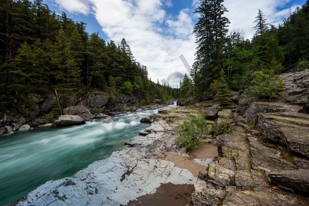 North Fork's Embrace - Wild Flathead River, Montana Print | bamaprice.com