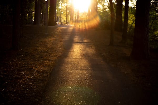 Sunset Path | Tuscaloosa Alabama Sunset Fine Art Photography Print | Bama Price