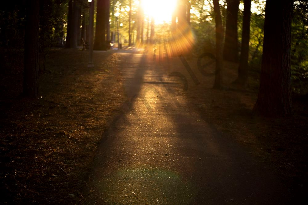 Sunset Path | Tuscaloosa Alabama Sunset Fine Art Photography Print | Bama Price