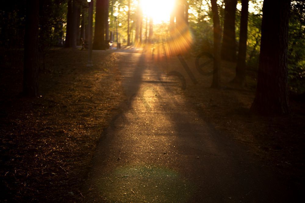 Sunset Path | Tuscaloosa Alabama Sunset Fine Art Photography Print | Bama Price