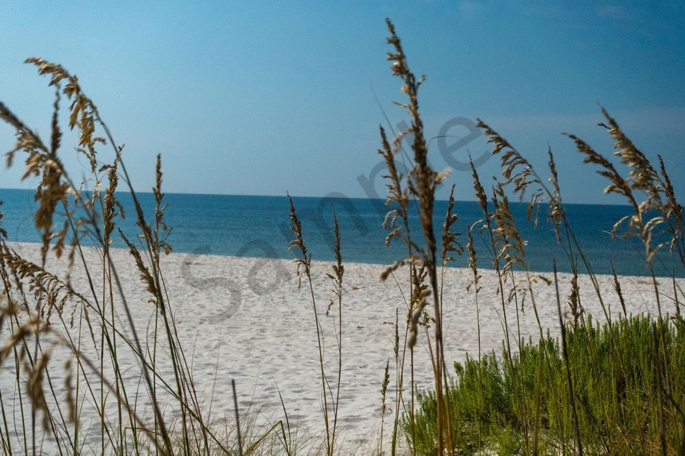 Gulf View from the Dunes - Dauphin Island Coast Print | Bama Price