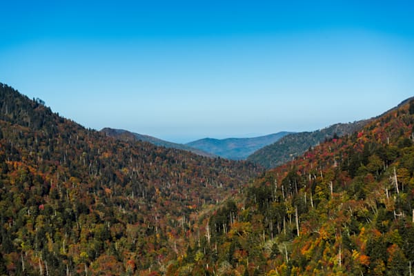 Appalachian Tapestry | Fall Foliage Smoky Mountains Fine Art Print | Bama Price