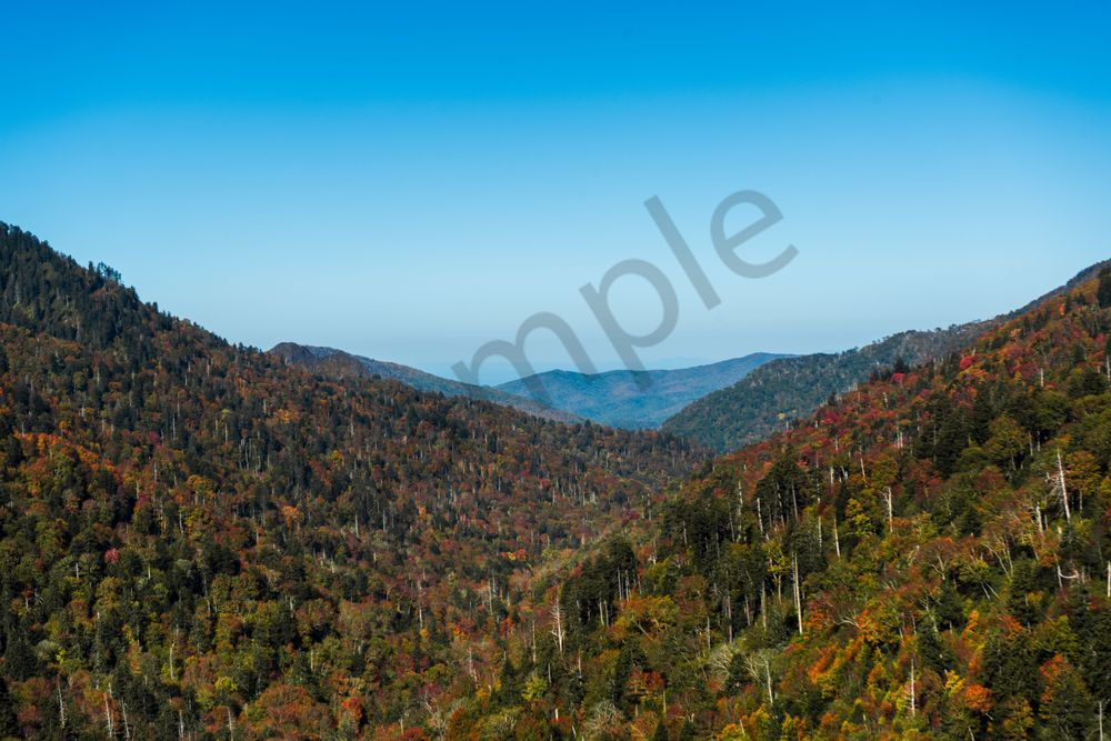 Appalachian Tapestry | Fall Foliage Smoky Mountains Fine Art Print | Bama Price