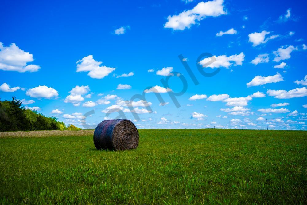 Hayfield Horizon | Epes Alabama Rural Countryside Photography Print | Bama Price