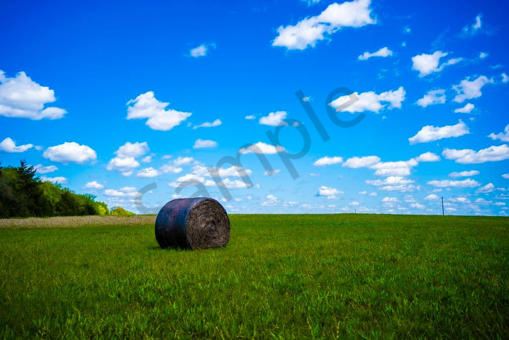 Hayfield Horizon | Epes Alabama Rural Countryside Photography Print | Bama Price