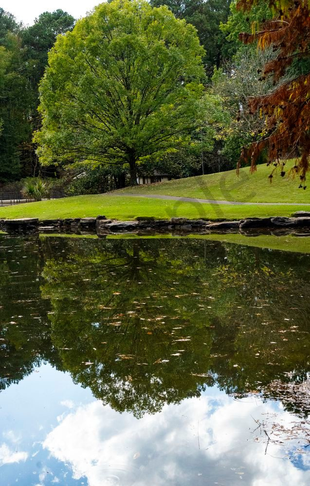 Nature's Mirror | Aldridge Gardens Hoover Alabama Photography Print | Bama Price