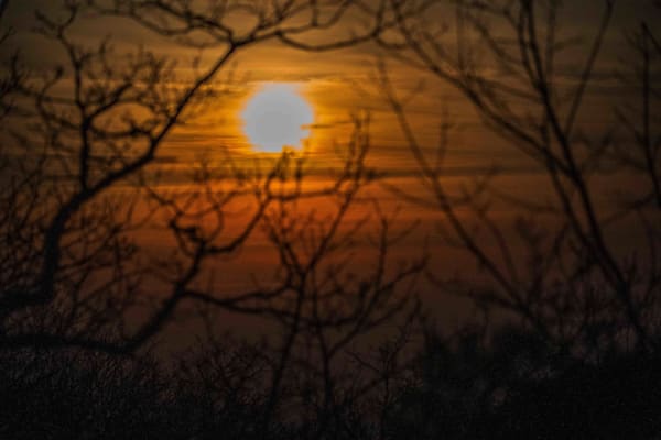 Twilight Branches | Cheaha State Park Alabama Fine Art Photography Print | Bama Price